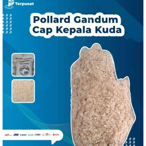 Terbaru Brand Pollard Gandum Cap Kepala kuda Per 50kg Pakan Ternak Media Ulat