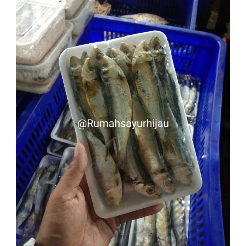 

Ikan Asin Tembak Per Kemasan