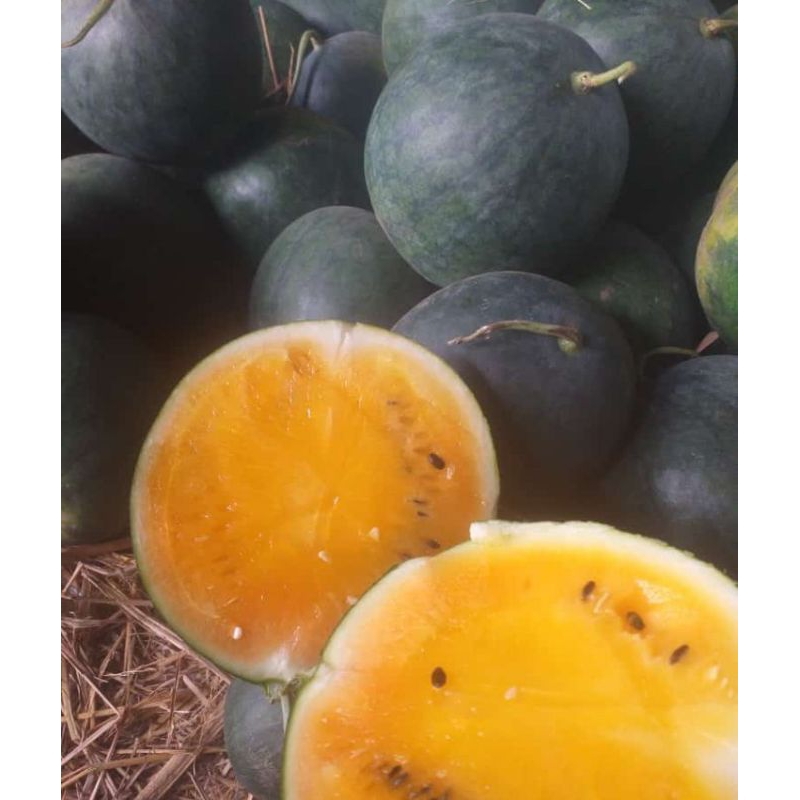 

semangka kuning bbt 1buah (-+2kg)