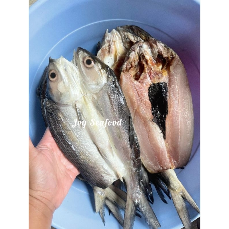 

ikan Bandeng Cabut Duri @1kg