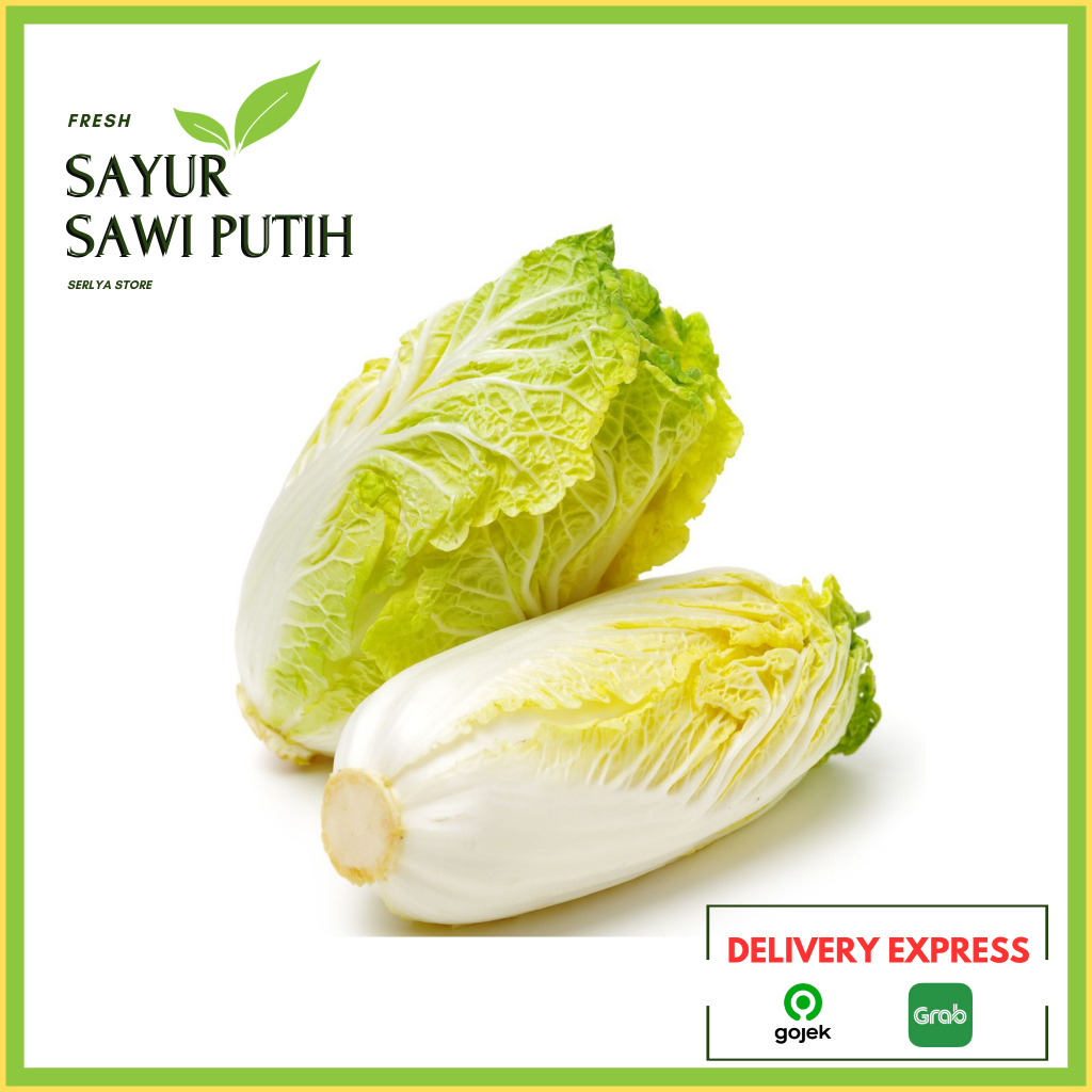 

SAYUR SAWI PUTIH SAYUR SEGAR MURAH SAYURAN FRESH KEMBANG KOL