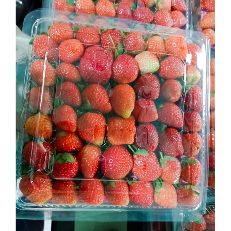 

Strawberry fresh asli ciwidey size AB (1kg)