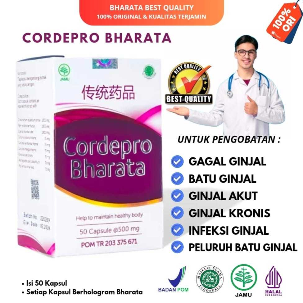 Obat Herbal Batu Ginjal - Gagal Ginjal Ampuh - CORDEPRO BHARATA