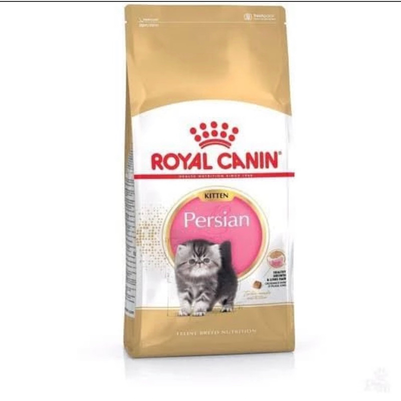 Rc kitten Persia 1 kg