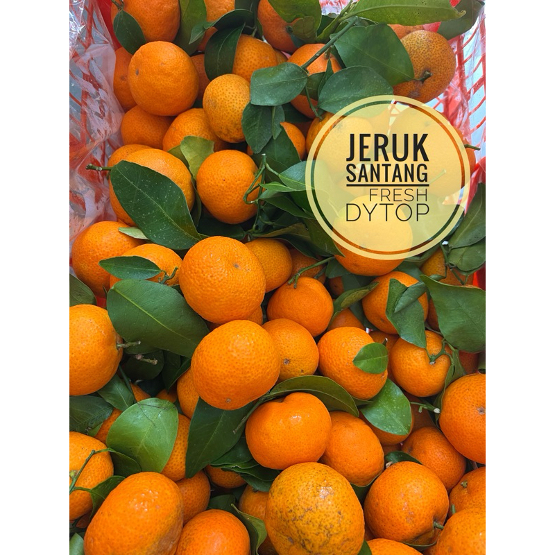 

Buah Jeruk Santang Fresh Manis Segar