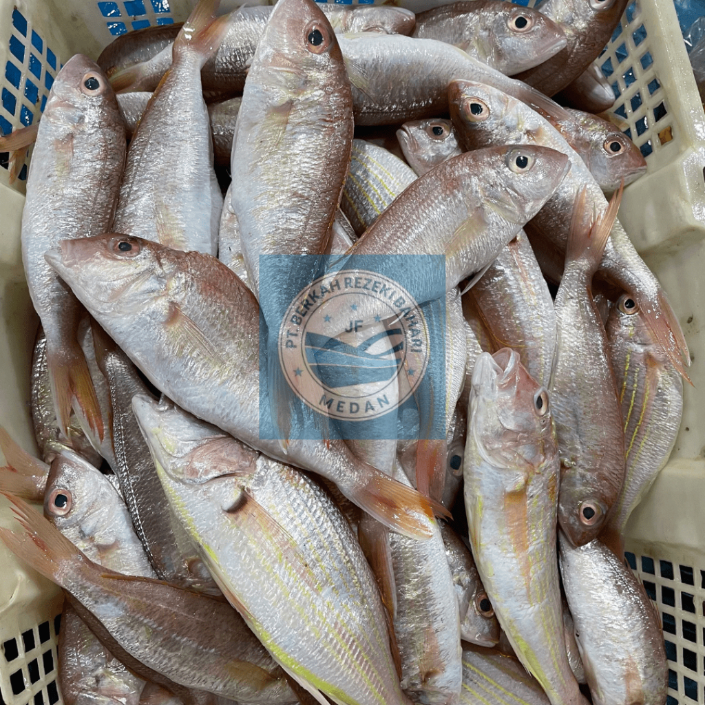 

Ikan Merah Segar per kg