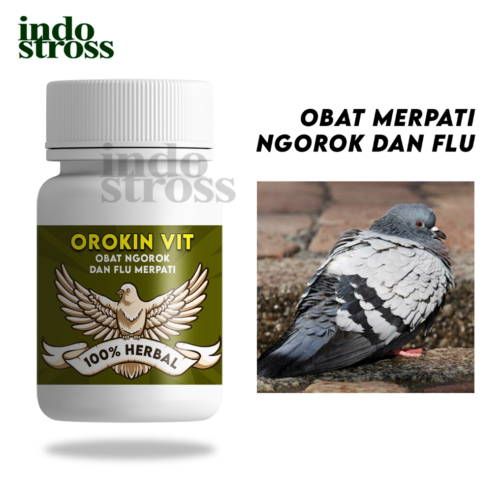 OROKIN VIT - Obat Ngorok Gangguan Pernafasan Flu Pilek Untuk Merpati Balap Sprint Kolong Tinggi Tomp