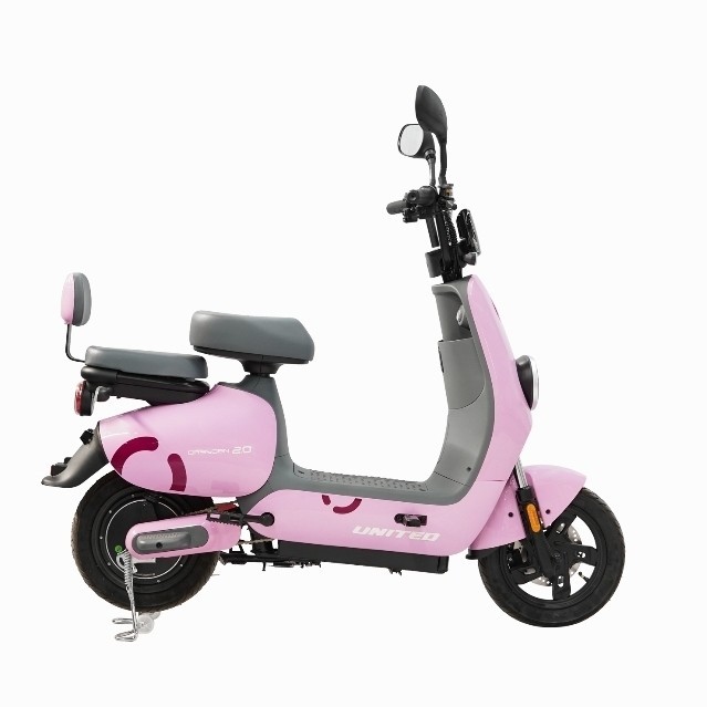 Sepeda listrik 14 x 2.50 inch united dresden 2.0 E bike 1150 W max power 48V 20 AH dewasa dan anak r