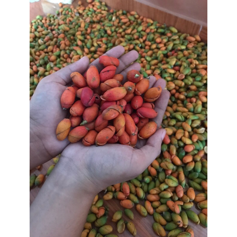 

READY KULIT TANGKIL (MELINJO) 1000gram/1KG murah Grosir!!!!