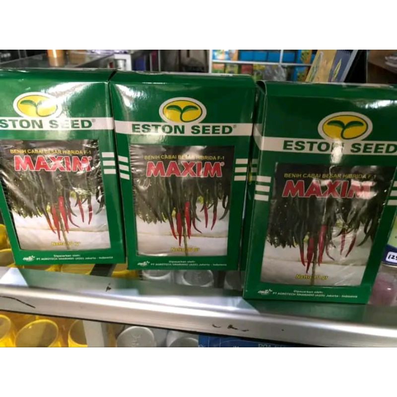 Benih Cabe Besar MAXIM F1-benih cabe profit 32