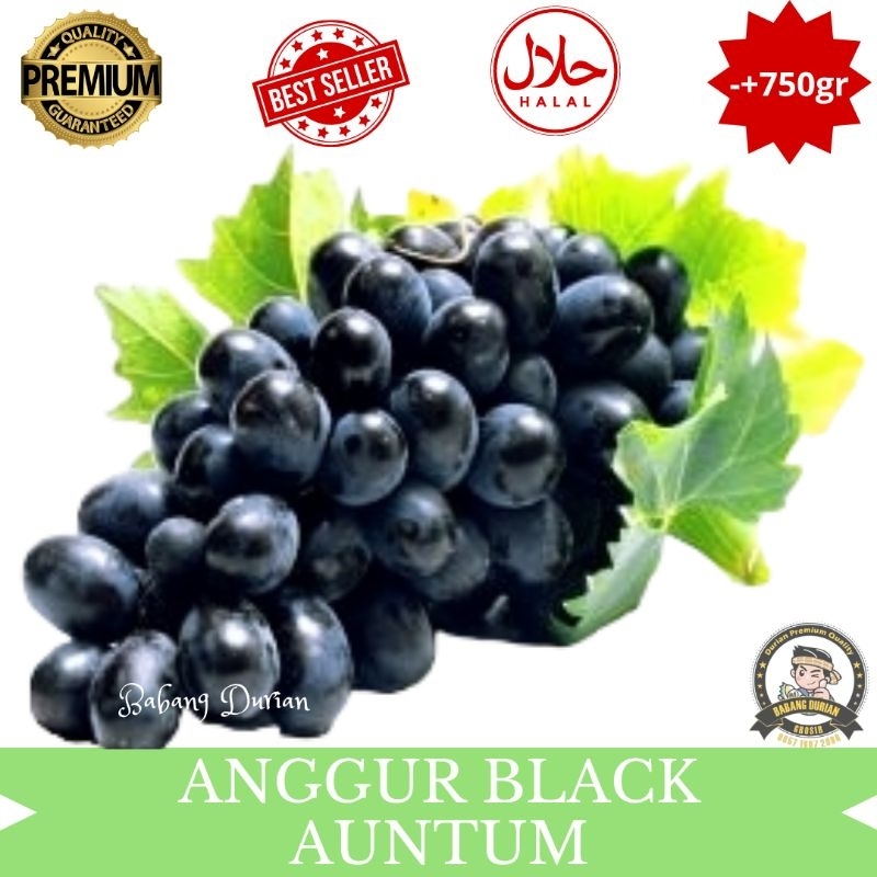 

ANGGUR BLACK AUNTUM -+750gr