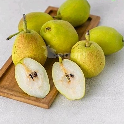 

Pear Xiang Lie 500 - 600 gram / pack Buah Segari