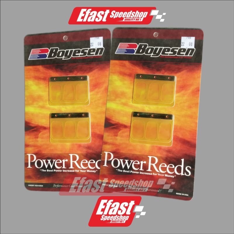 Lidah Membran Ninja Kawasaki BOYESEN Original