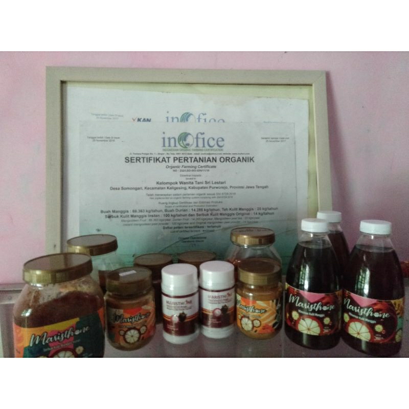 

maristhone manggis Purworejo