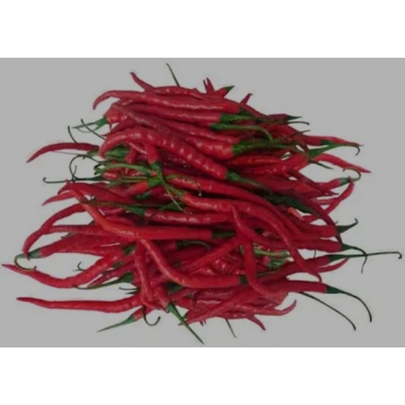 

TERMURAH Cabe Merah Keriting 250 gr