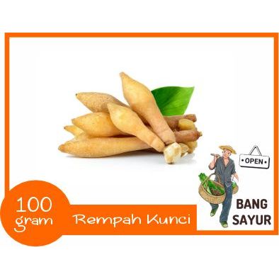 

Rempah Kunci 100 gr