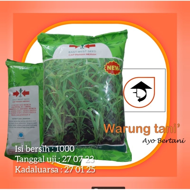 Benih kangkung serimpi