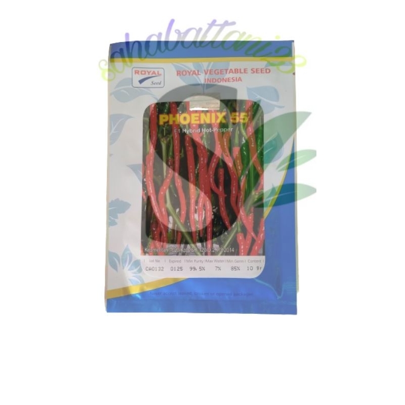 Benih Cabe Keriting PHOENIX 55 isi 10gram (Royal Seed)