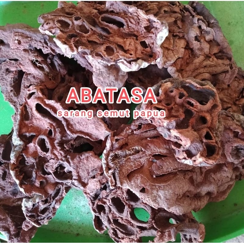 

SARANG SEMUT PAPUA ASLI 1 KG