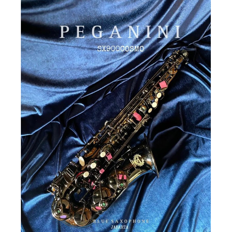 ALTO SAXOPHONE PEGANINI SX900COSMO