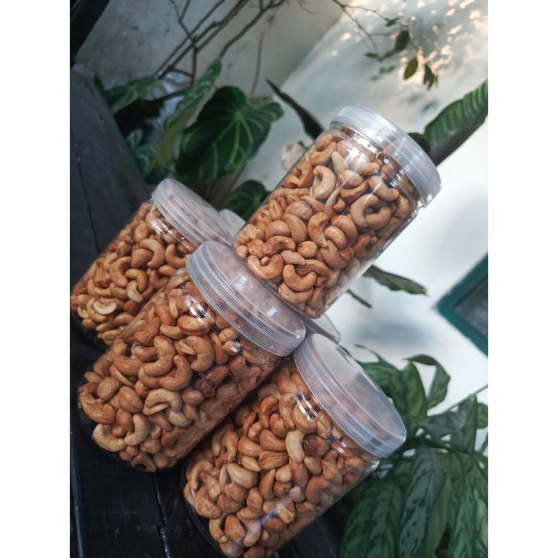 

KACANG MENTE-KACANG MEDE