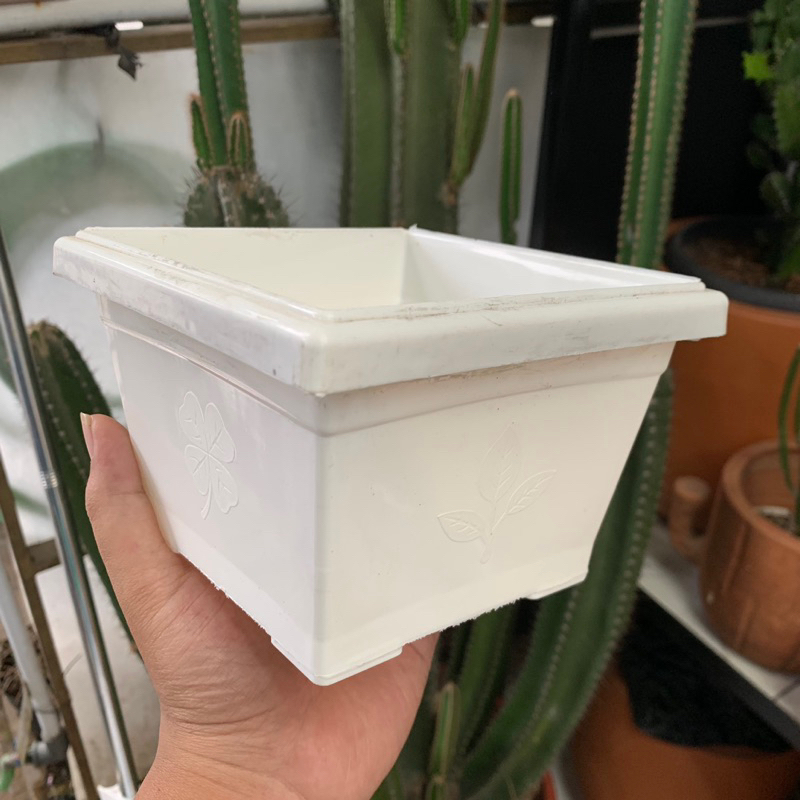 pot kotak plastik dim 14 cm | pot bonsai
