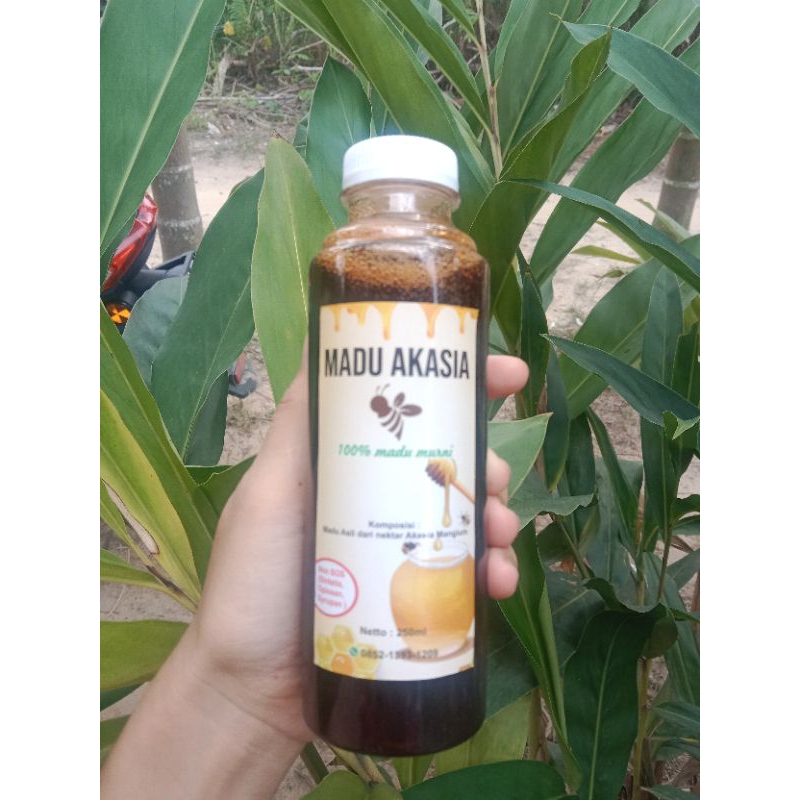 

MADU ASLI HUTAN AKASIA