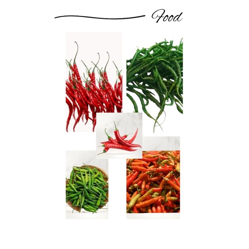 

Cabai Rawit / Cabai Keriting Merah / Cabai Keriting Hijau / Cabai Besar