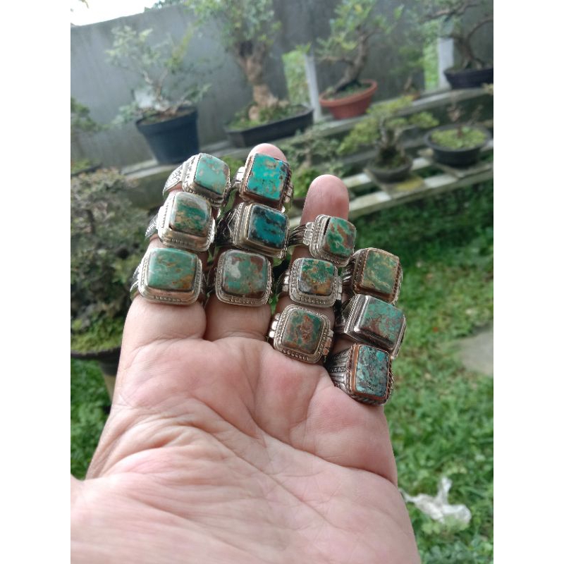 Pirus Persia Natural Kotak