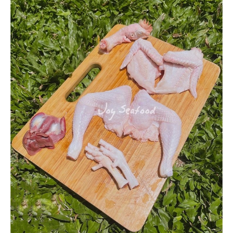 

Ayam Pejantan ekor'an