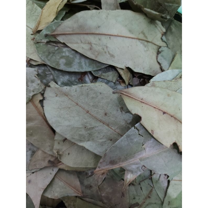 

Daun Sirsak Kering 100gr