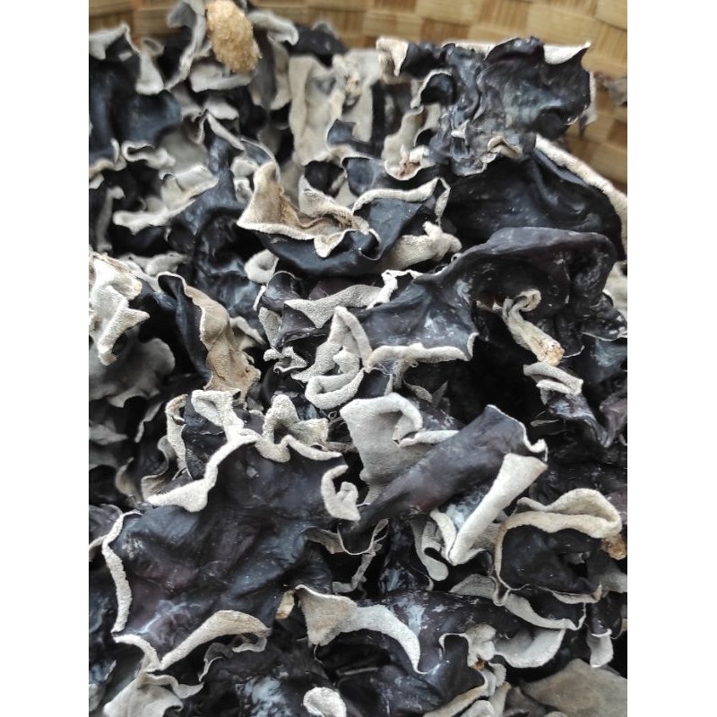 

JAMUR KUPING SUPER 250 gram