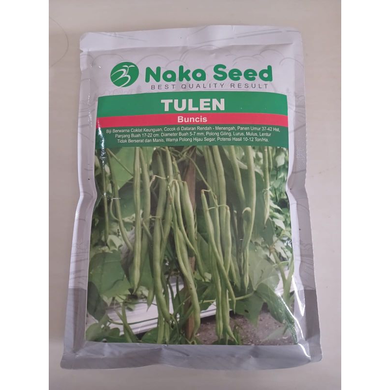 bibit buncis