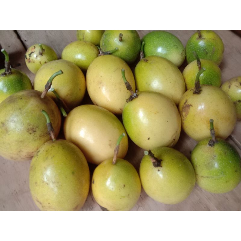 

buah markisa atau saprola segar 1kg