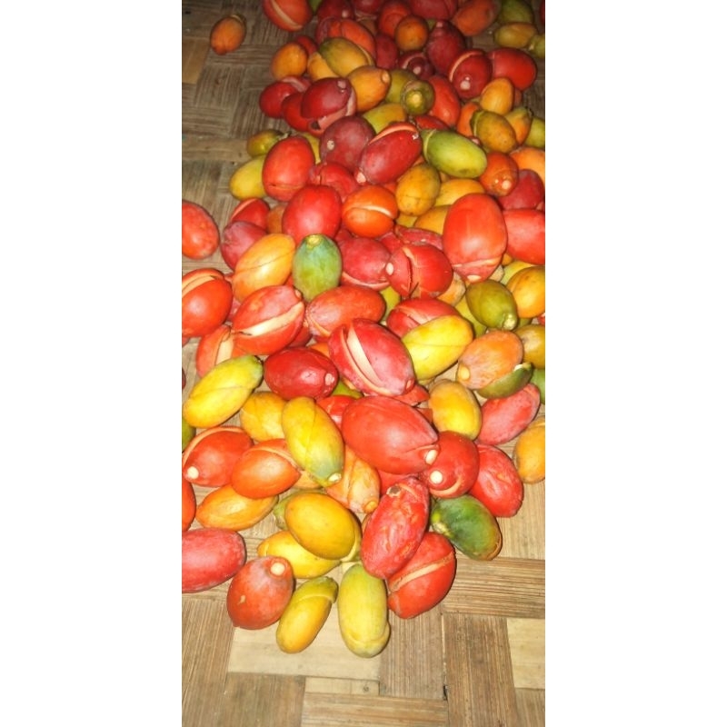 

Kulit Melinjo Fress 1 Kg