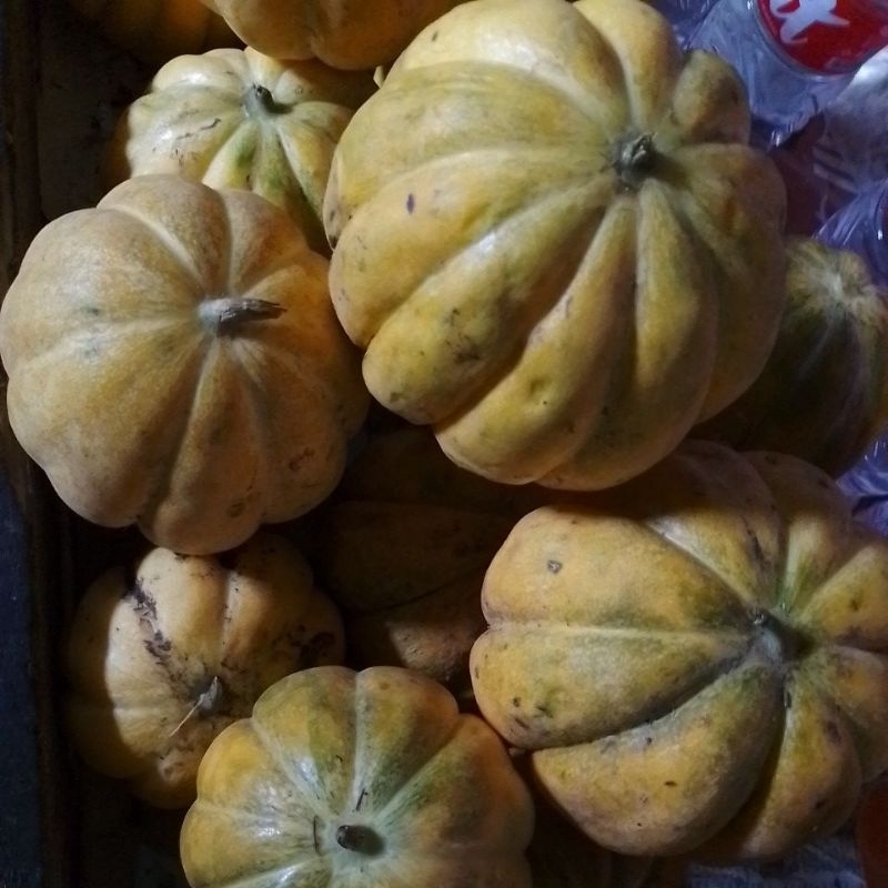 blewah batu 20000/kg