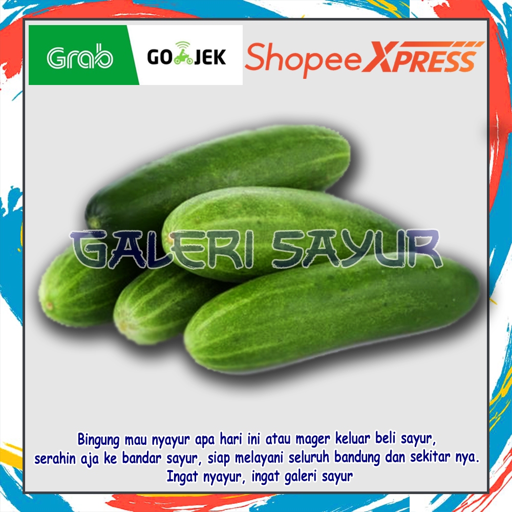 

KIRIM INSTAN Timun / Bonteng / Mentimun / Ketimun Lokal Promo Sayur Bandung