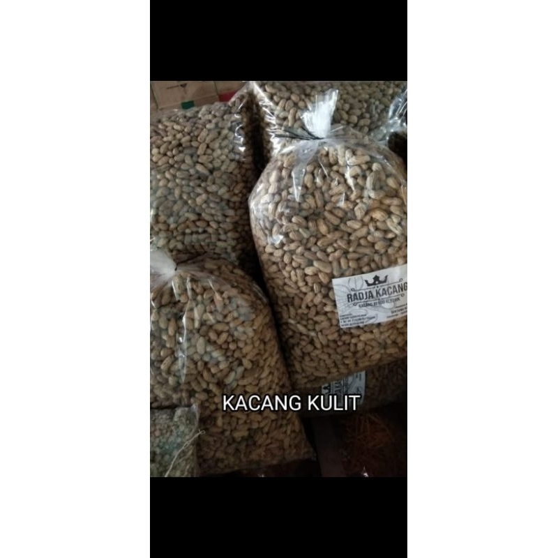 

kacang kulit