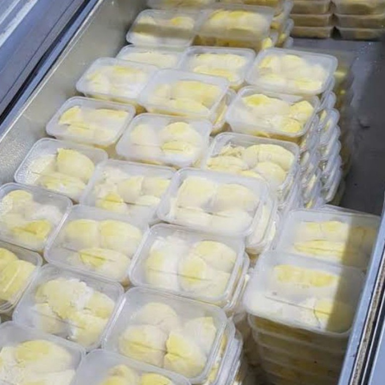 

CJO432 Terbaru Durian montong Palu Sulawesi