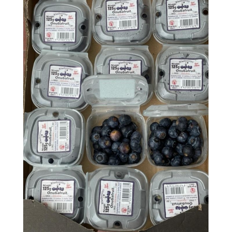 

Blueberry / Buah Bluberries Onuba Jumbo Spain 1 Dus (12 Pack) Freh Import