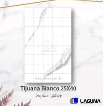 KERAMIK DINDING 25X40 LAGUNA TJUANA BIANCO KW 1