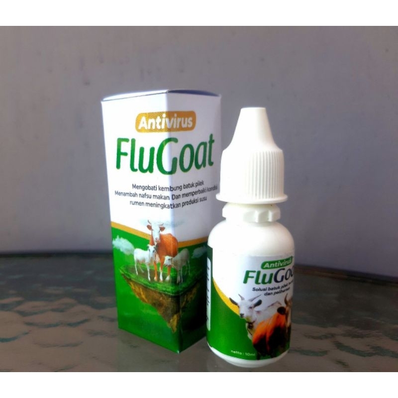 obat kambing kejang lumpuh kembung batuk pilek