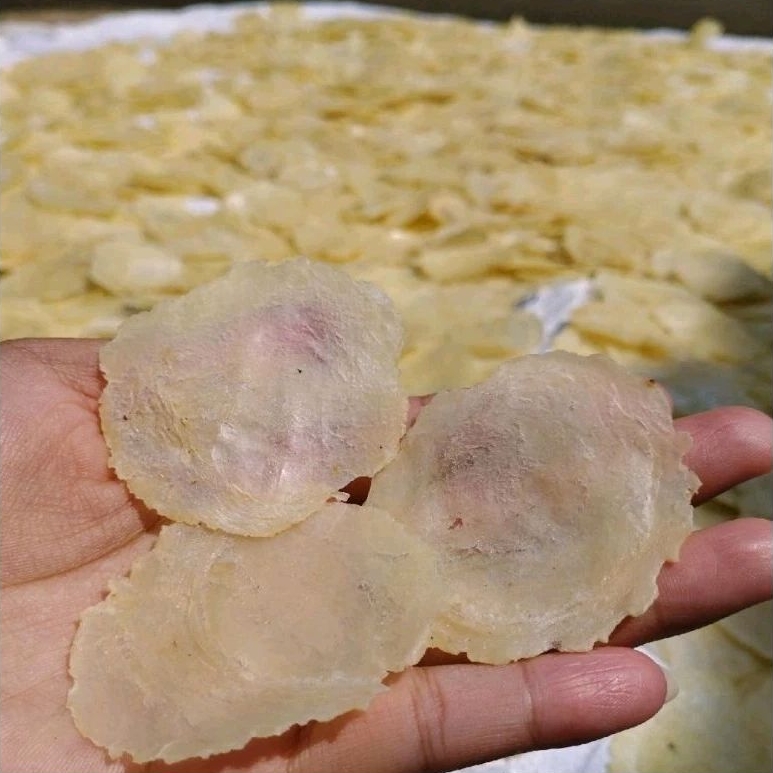 

EMPING MELINJO FRESH SUPER TIPIS BIJI 1 /1kg (Kering pasar) ASLI LIMPUNG