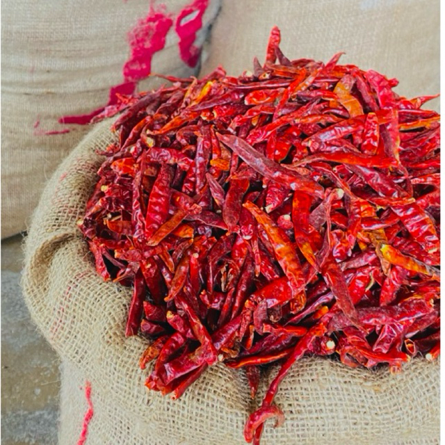 

{BARU} Cabe Rawit Teja Kering Super Pedas Tanpa Tangkai
