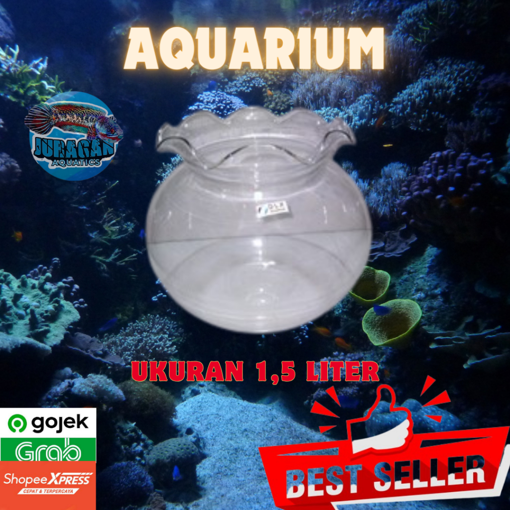 Aquarium Kaca Bulat Ukuran 1.5 Liter - Aquarium Bulat Aquarium Kaca Minimalis Ukuran 1.5 Liter