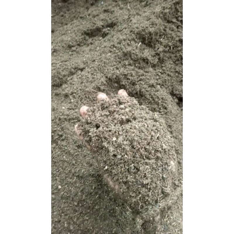 pupuk kohe ayam fermentasi