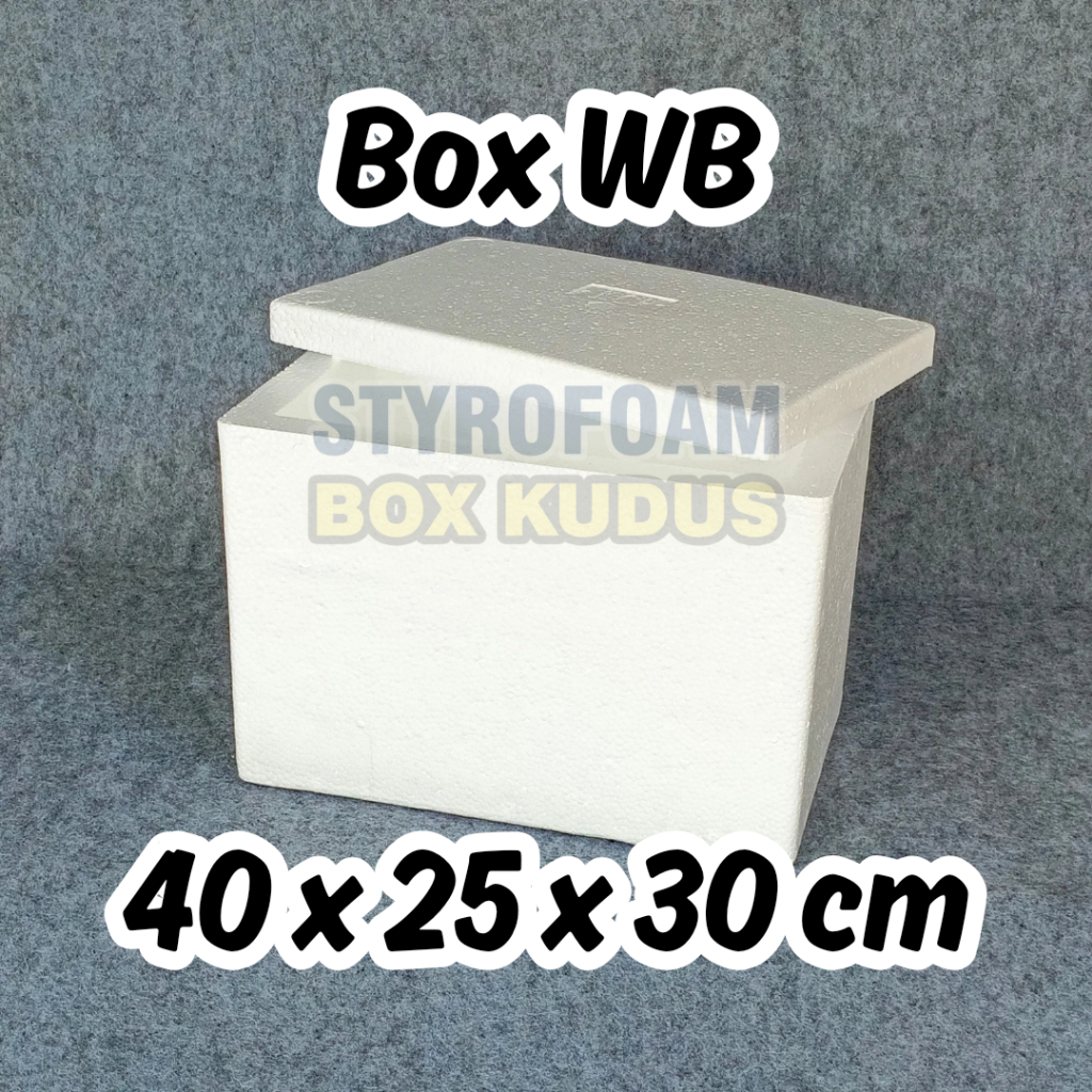 INSTANT ONLY - BOX WB - Styrofoam Box Baru Penyimpanan Packing Frozen Food Box Ikan Wadah Ikan Stero