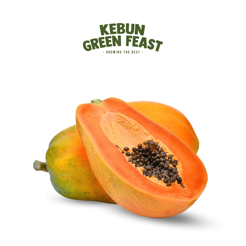 

Pepaya Carlifornia - Buah Lokal Segar