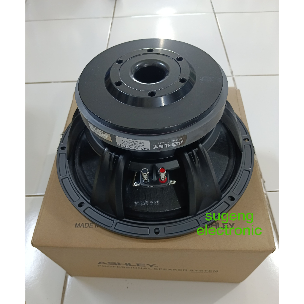 12 inch Speaker ASHLEY 12V300LF