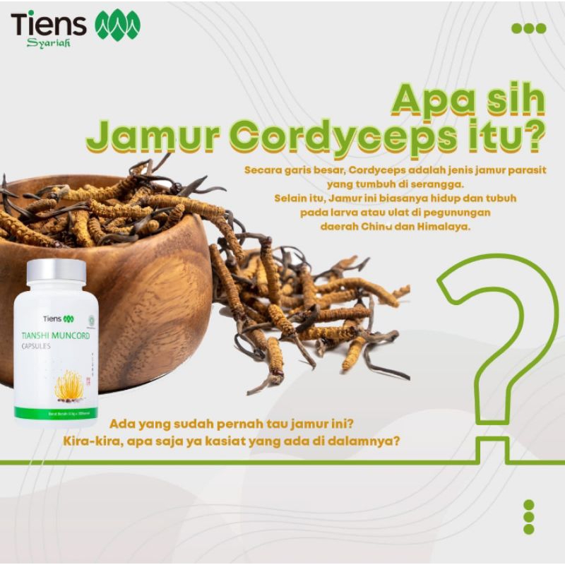 MUNCORD CAPSULES | obat kuat pria/wanita